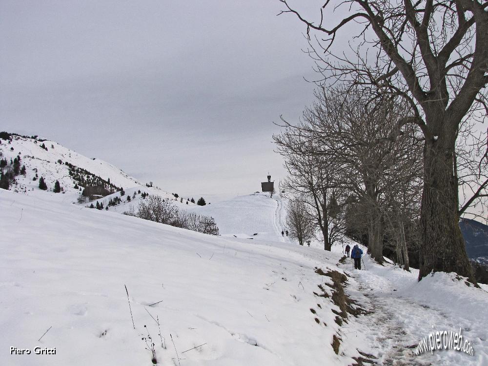 12 Piante secolari.jpg